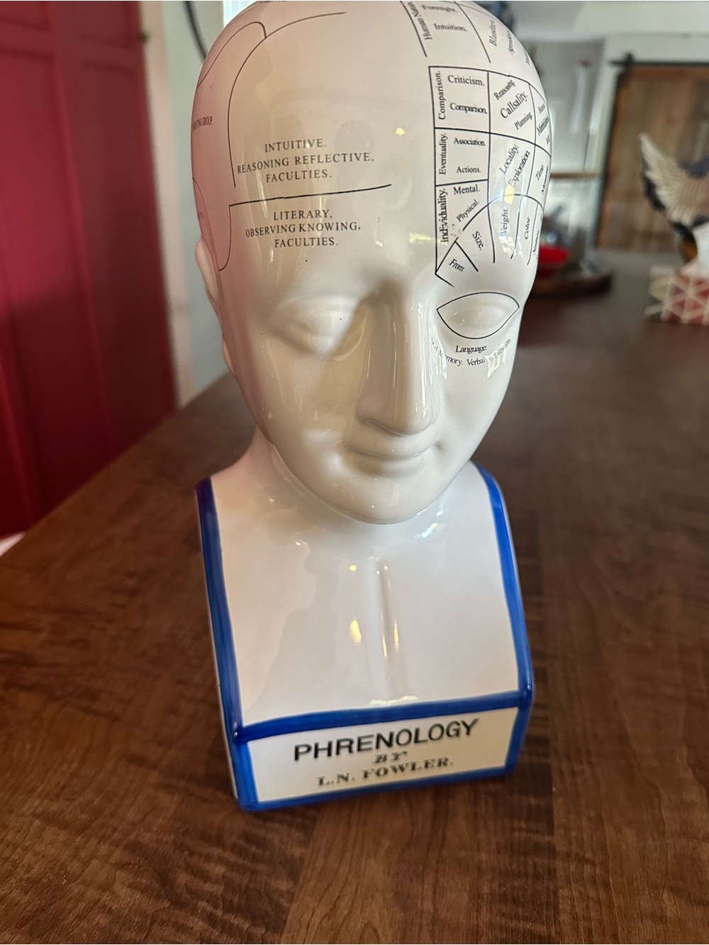 Phrenology Bust